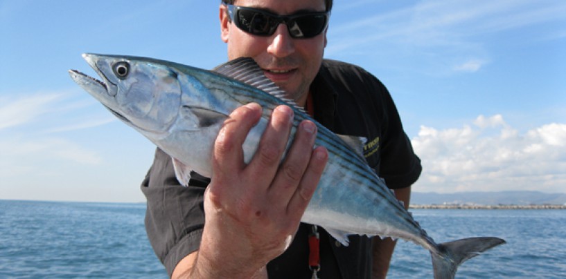 Pesca en las pajareras otoñales