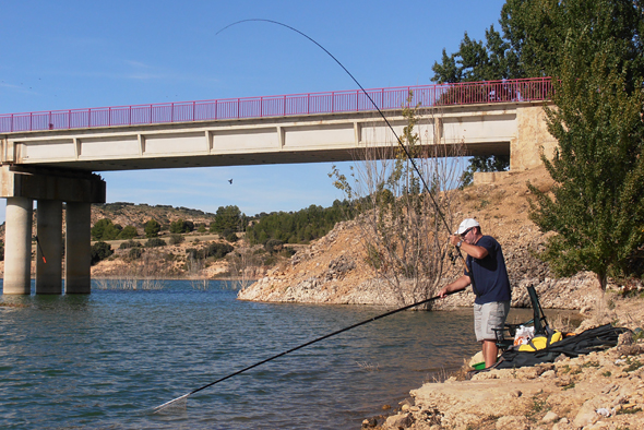 Pesca de carpas a la inglesa para principiantes