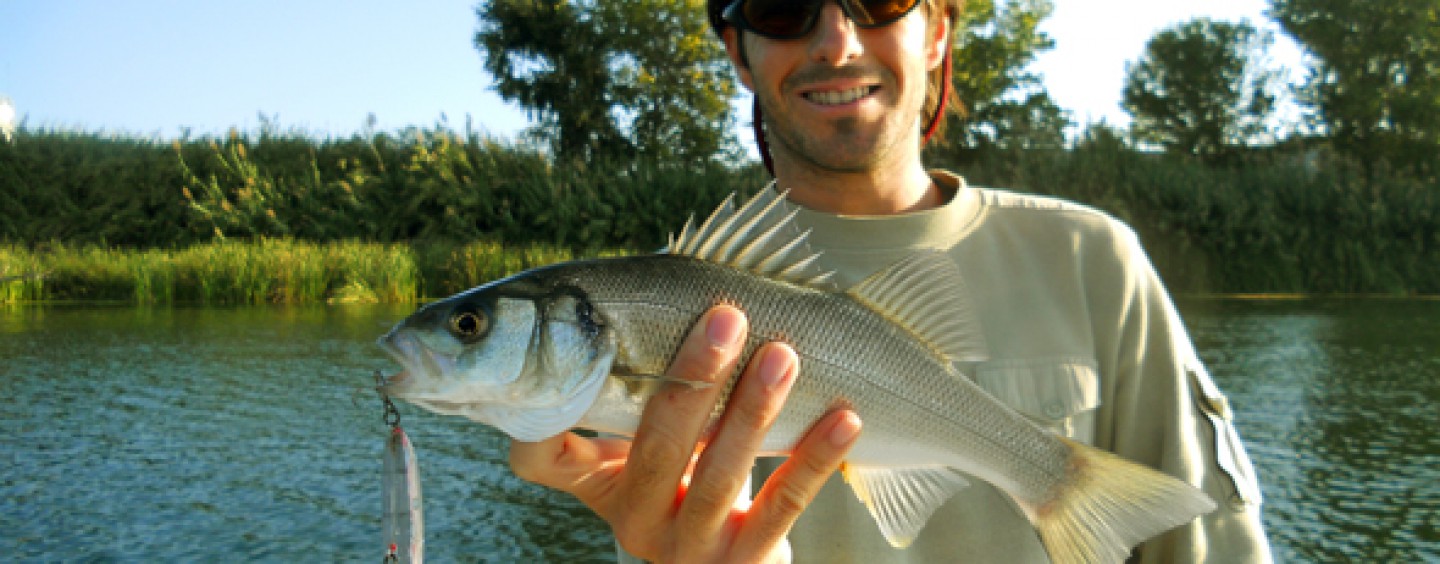 5 especies que pescar en otoño