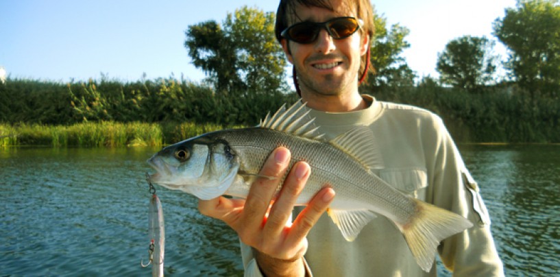5 especies que pescar en otoño