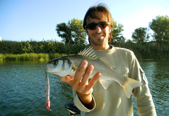 La lubina es una de las especies que podemos pescar en otoño