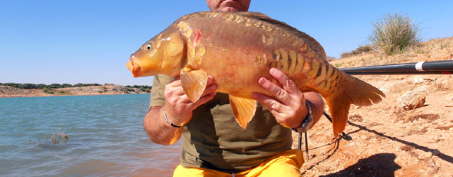 La técnica de pesca de carpas a la inglesa para principiantes.