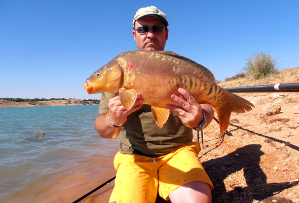 pesca de carpas a la inglesa para principiantes