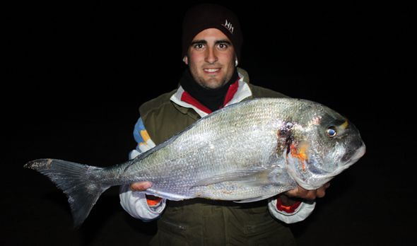 cebo para la pesca de doradas