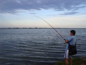Pesca con budó