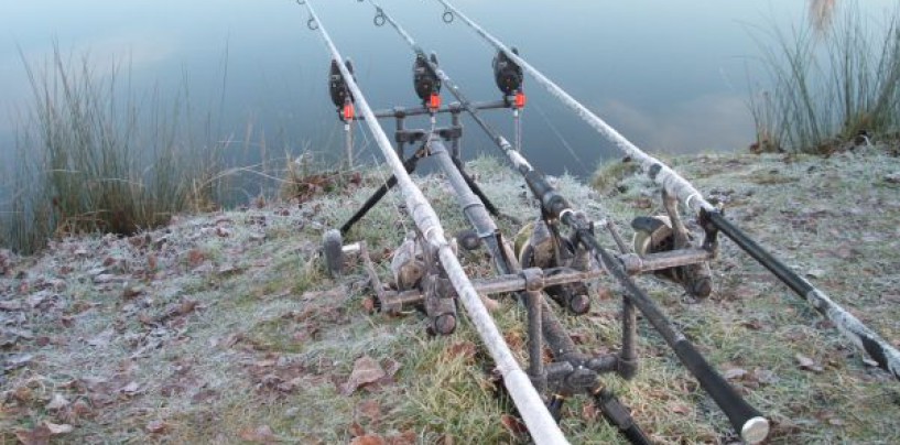 Pescar carpas en el invierno ya avanzado