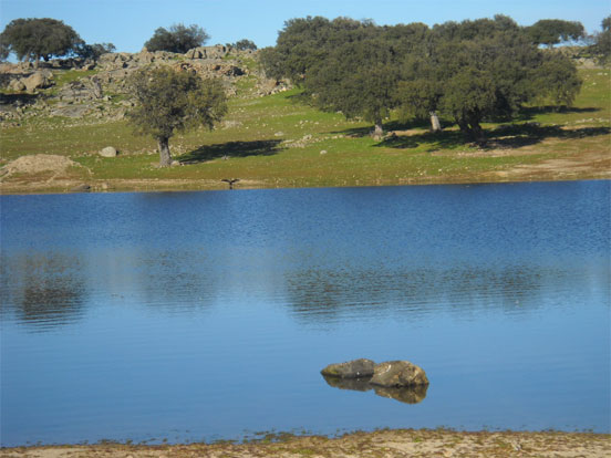 pescar tencas coto extremadura