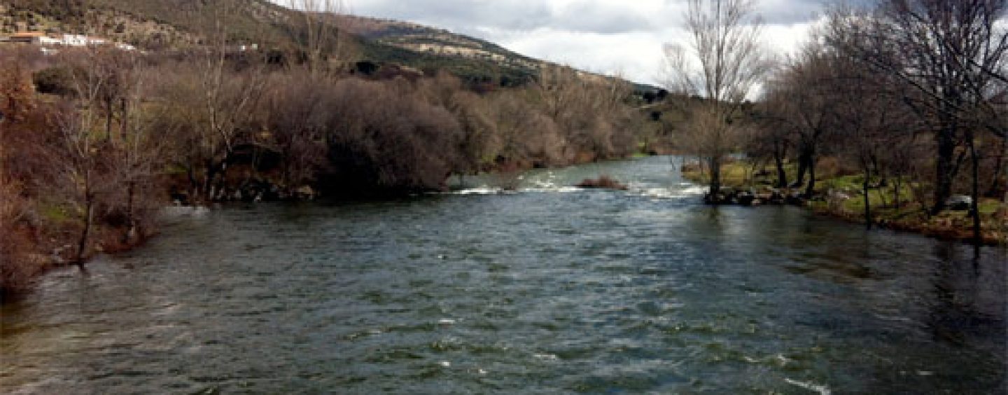 Los ríos trucheros de España (II): El río Lozoya en Madrid