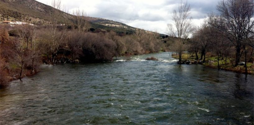 Los ríos trucheros de España (II): El río Lozoya en Madrid