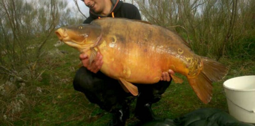 Pesca de grandes carpas al inicio de la primavera