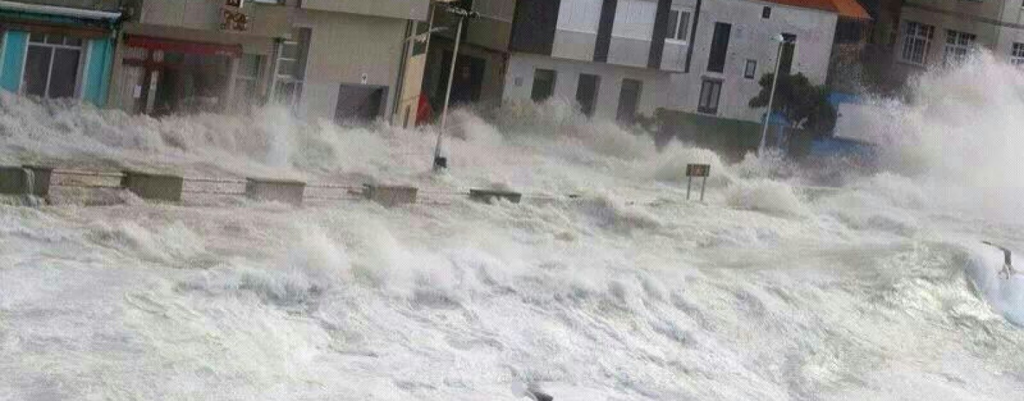 Pesca marítima: Cuando la naturaleza toma cumplida venganza