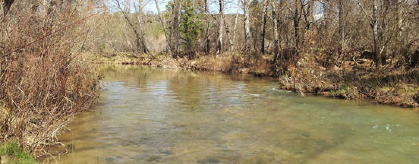 Lugares de pesca: coto intensivo “El Chantre”