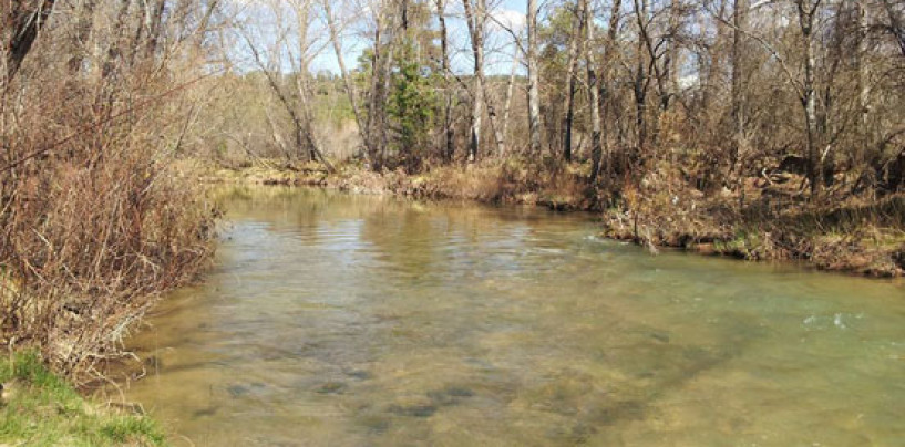 Lugares de pesca: coto intensivo “El Chantre”