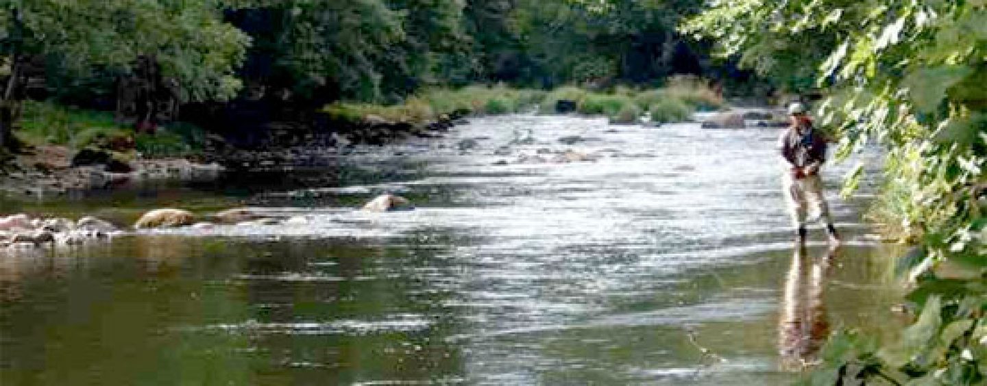 Pezcador al día, principales noticias de pesca (Junio de 2018, 3)