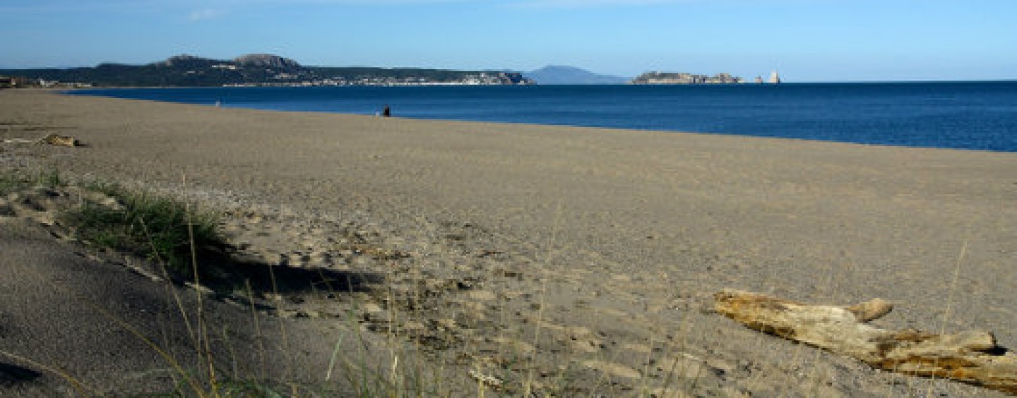Cursos de pesca en la playa de Pals/Estartit, julio y agosto 2014 (GIRONA)