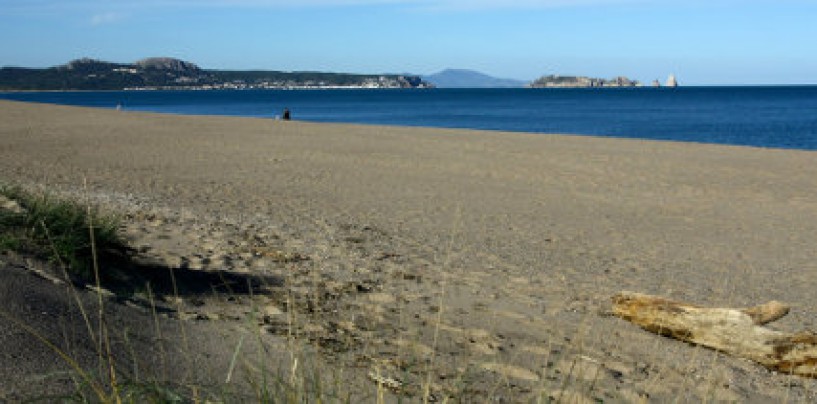 Cursos de pesca en la playa de Pals/Estartit, julio y agosto 2014 (GIRONA)