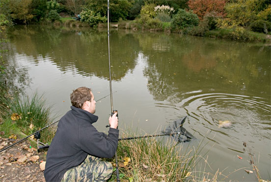 la pesca de carpas