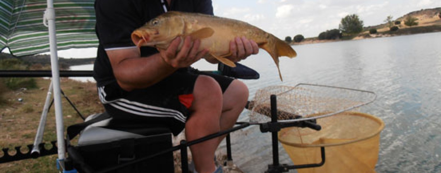 Carpas a enchufable, rotura de caña, arreglo chapucero y gran pescata