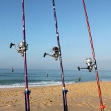 Mejores sitios para pescar en Málaga