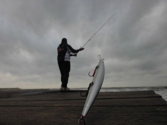 Lance con cañas de pesca para spinning