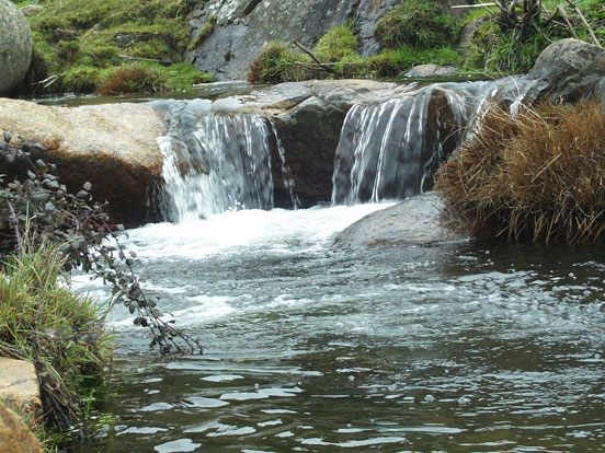 Pesca en el Coto Intensivo de Santa María de la Alameda