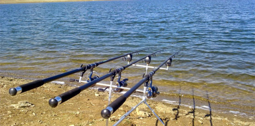 Cómo elegir tu caña para carpfishing