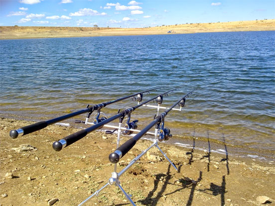 cañas carpfishing cañas caprfishing