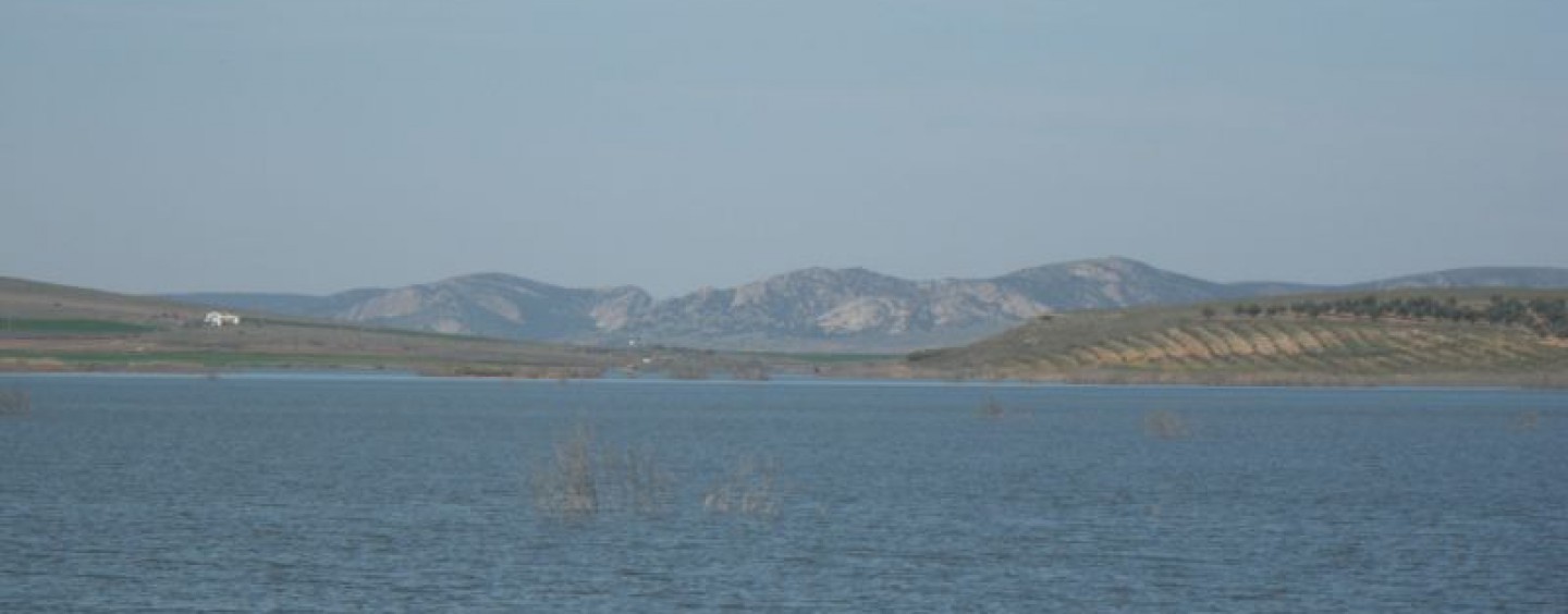 Concurso de Pesca Black Bass de orilla. Aldea de Rey 2014