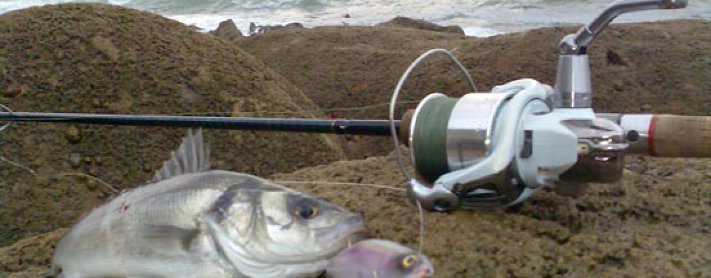 Como mantener las anillas de tu caña de pesca a salvo de la salitre