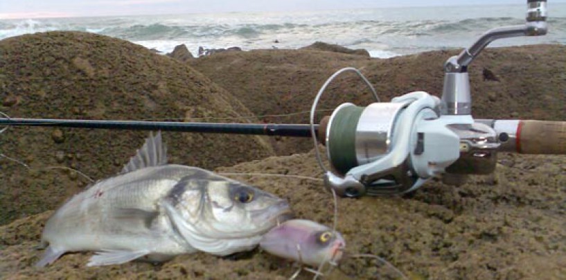 Como mantener las anillas de tu caña de pesca a salvo de la salitre