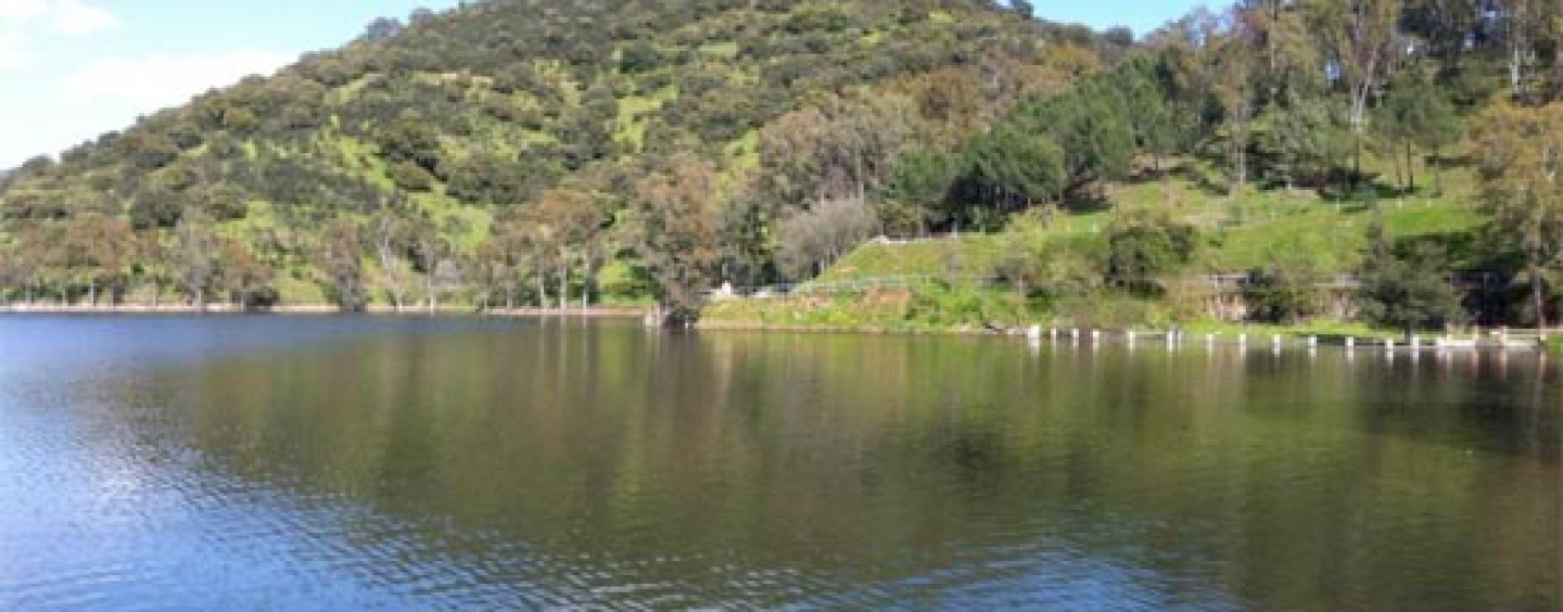 Pesca en el Embalse del Pintado