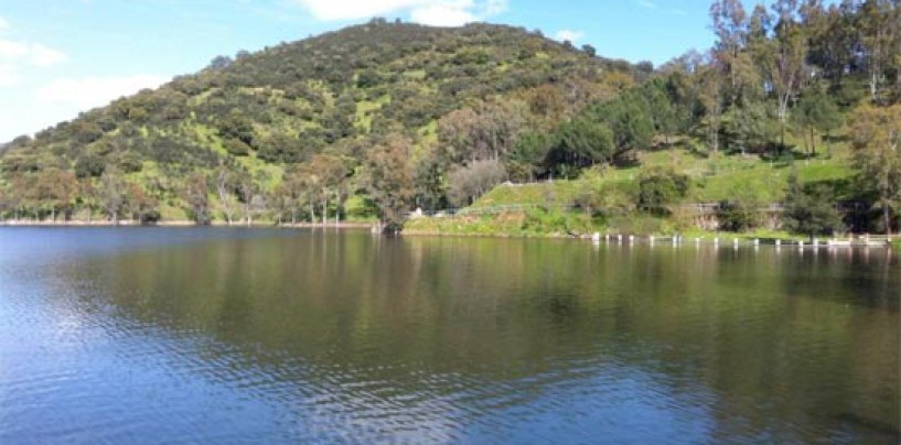 Pesca en el Embalse del Pintado