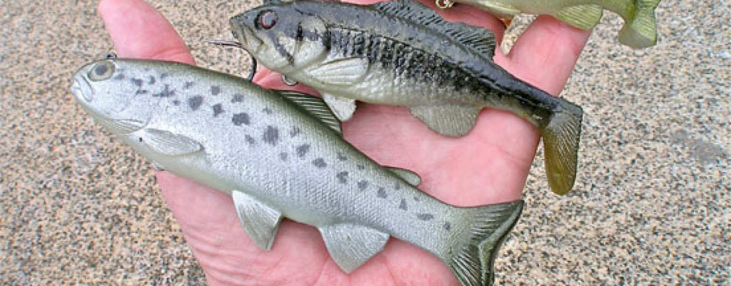 Pesca de grandes ejemplares Black Bass usando swimbaits