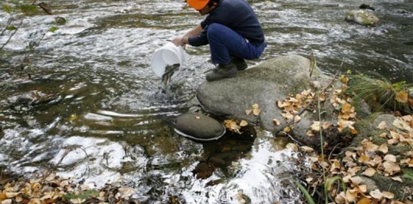 ¿Las administraciones apoyan la pesca?: Los increíbles requerimientos de la Comunidad de Madrid para repoblar en un coto intensivo