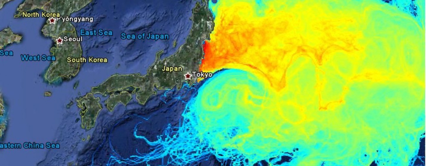 Lado positivo para la pesca deportiva en la catástrofe, Fukushima