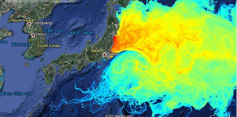 Lado positivo para la pesca deportiva en la catástrofe, Fukushima