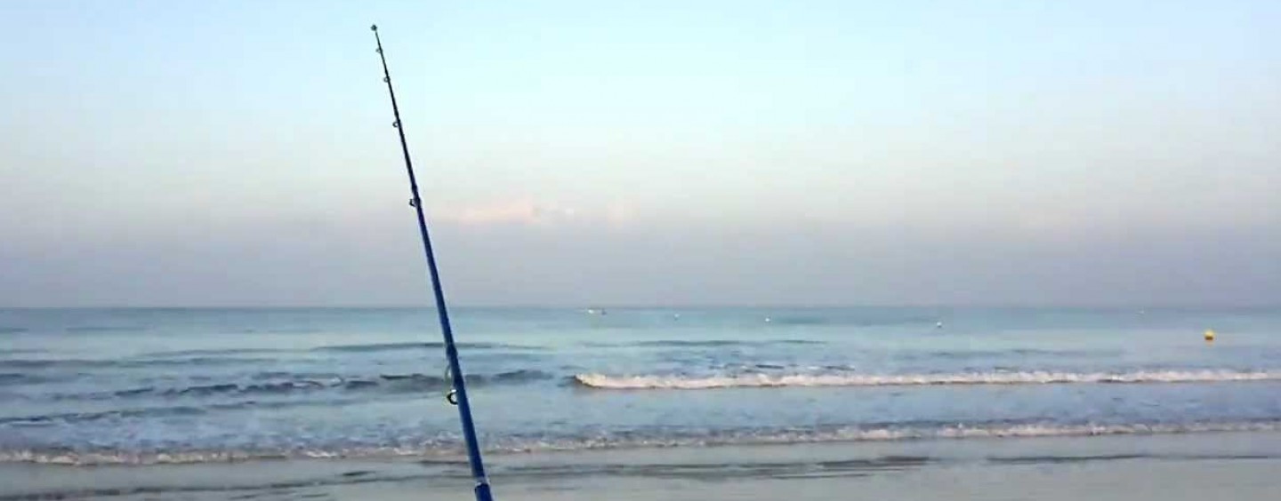 miércoles comprender Letrista Análisis de la caña de pesca surfcasting | Revista de pesca deportiva – Coto de PeZca miércoles comprender Letrista Análisis de la caña de pesca surfcasting | Revista de pesca deportiva – Coto de PeZca