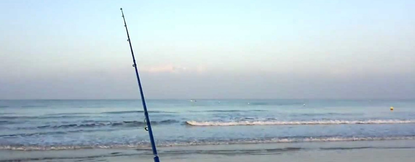 Análisis de la caña de pesca surfcasting