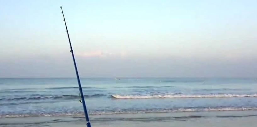 Análisis de la caña de pesca surfcasting