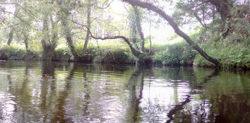 Como obtener una licencia de pesca para Galicia