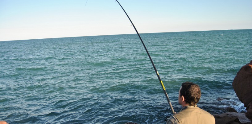 Sasame y Leoniu, anzuelos para surfcasting