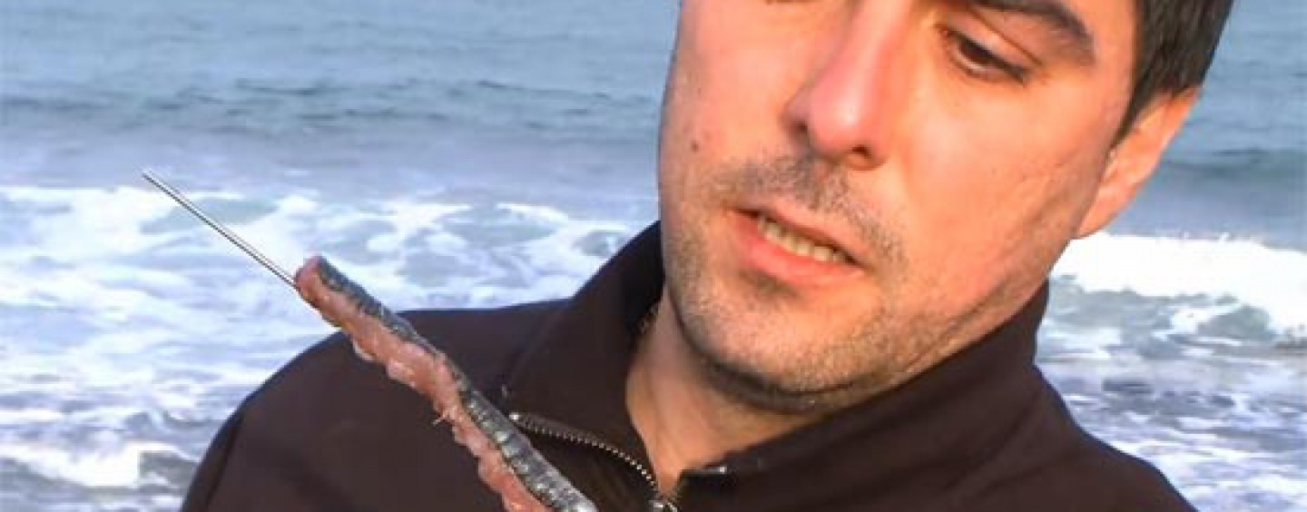 Video de pesca de como anzuelar sardinas para surfcasting