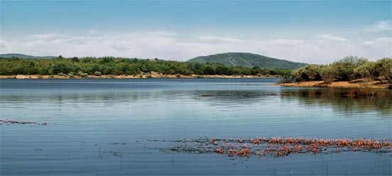 Resultado de imagen de pesca embalse de la cuerda del pozo