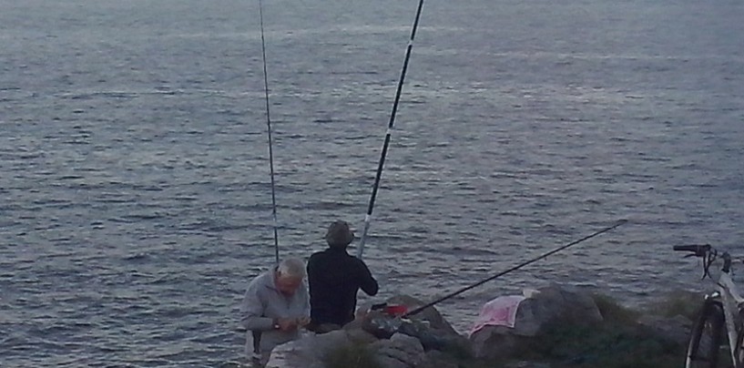 Sargos a boya en otoño, todo un ritual de pesca en el Cantábrico