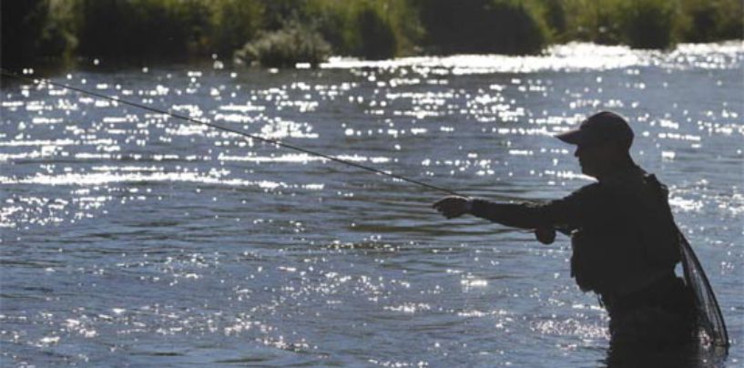 Pezcador al día, principales noticias de pesca (Febrero 2018, 4)