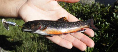 La pesca con cucharilla con aguas turbias