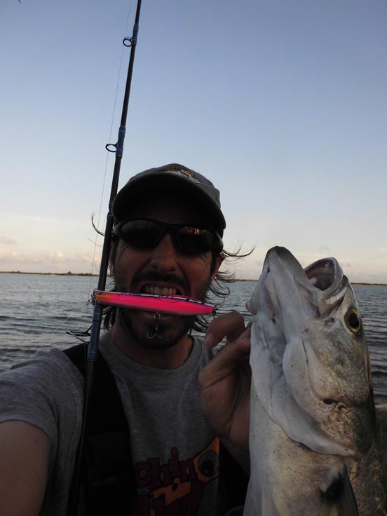 pescando con pencils y skipbaits