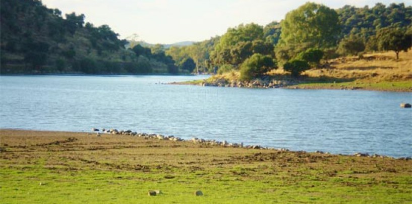 Pesca en el Embalse de Valuengo