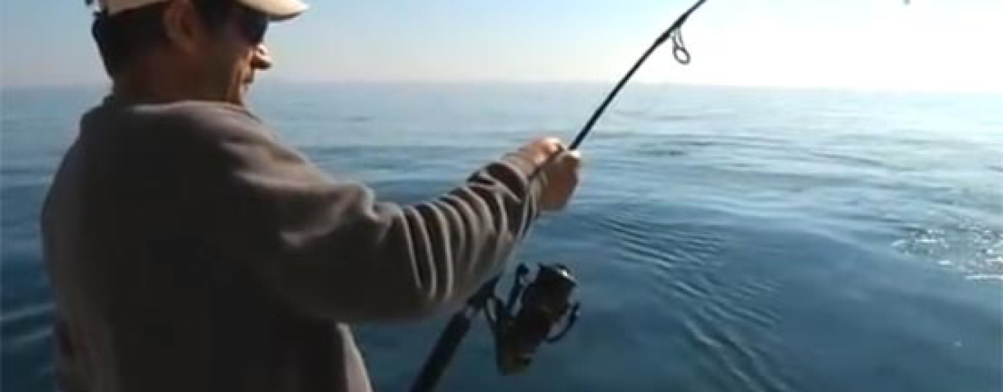 Se prohíbe la pesca a jigging desde embarcación en Canarias