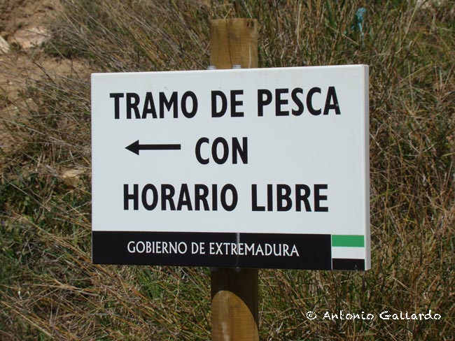 Tramo-de-pesca-con-horario-libre-orellana-1